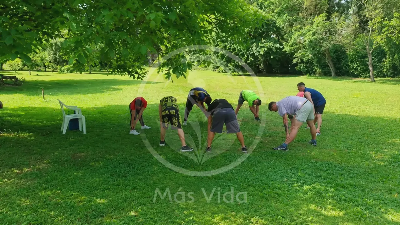 Actividad física bajo los árboles del parque